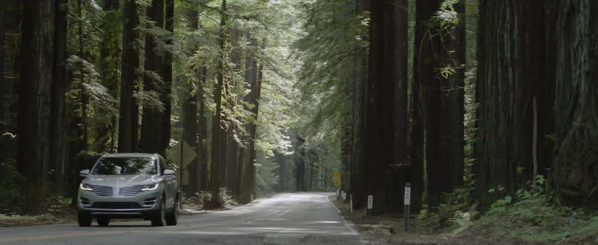 A car drives through a forest