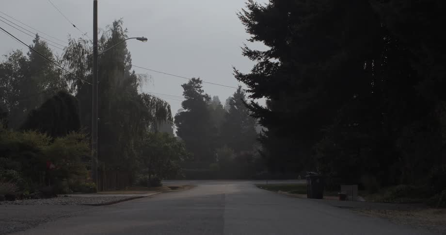 Trees and street lamps line a street