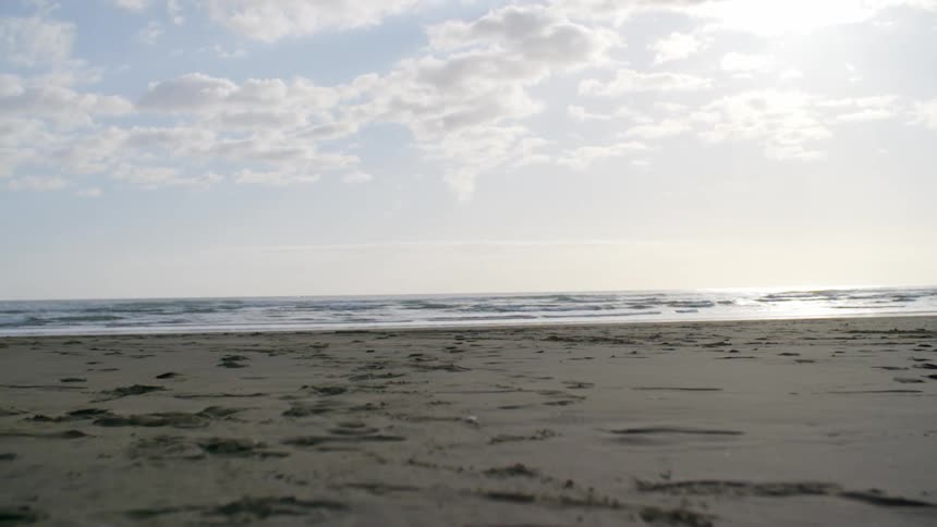 Surf
