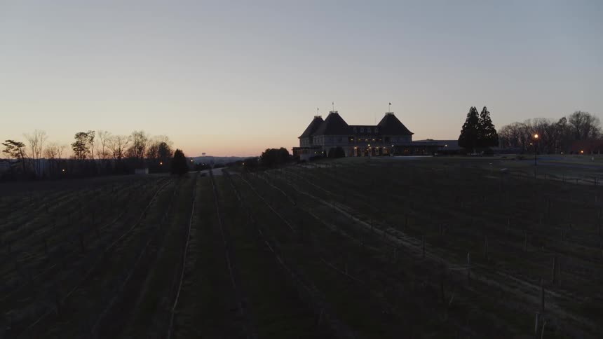 Slow pullback traverse over rows of vineyard grapes under an evening twilight sky