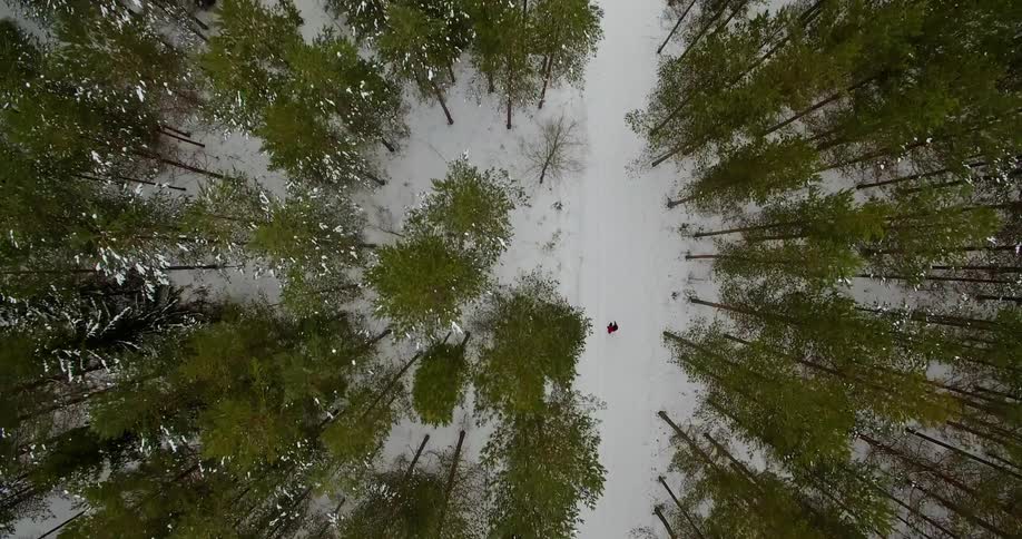 A person jogs in a snowy forest