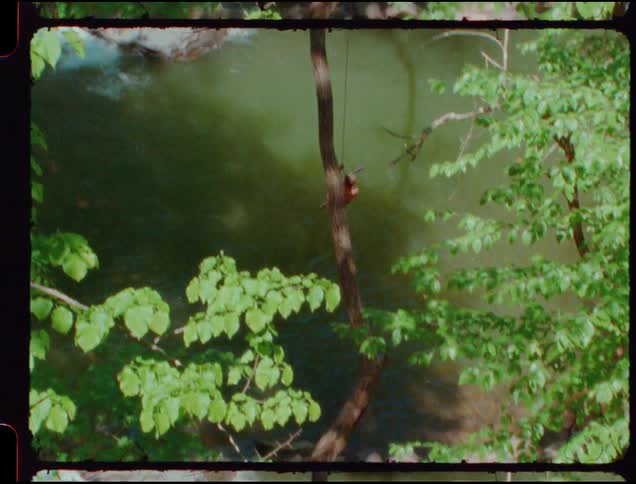 A man swings from a rope and dives into the water