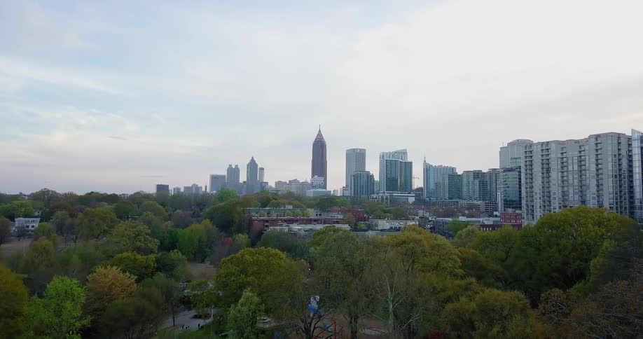 Tall trees lead to the city with tall buildings