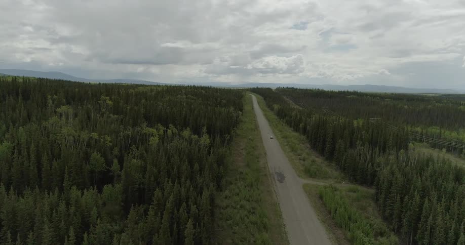 A dirt road cuts through trees