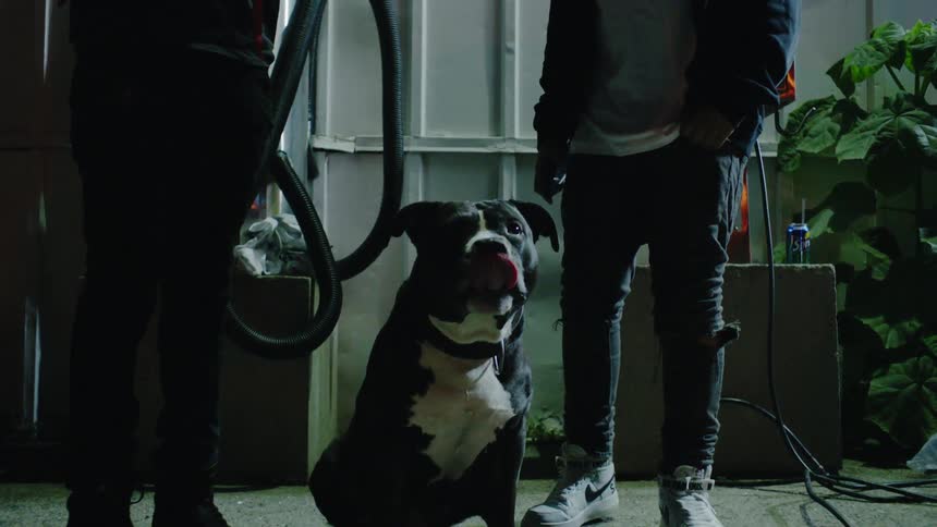 A dog sits between two standing people on a sidewalk