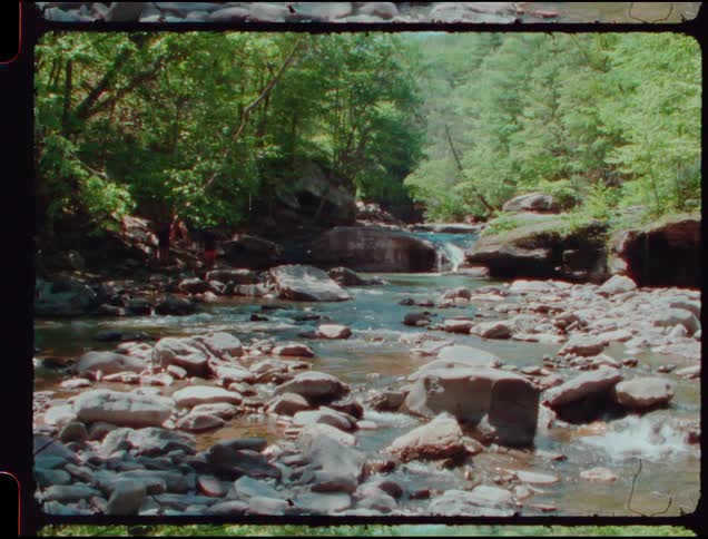 A stream flows over rocks in a forest