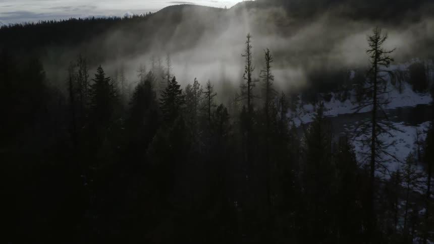 Clouds float above forest trees in snowy mountains