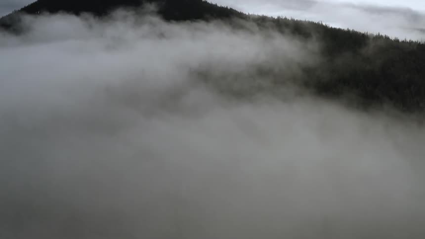 A mountain peak and trees above the clouds