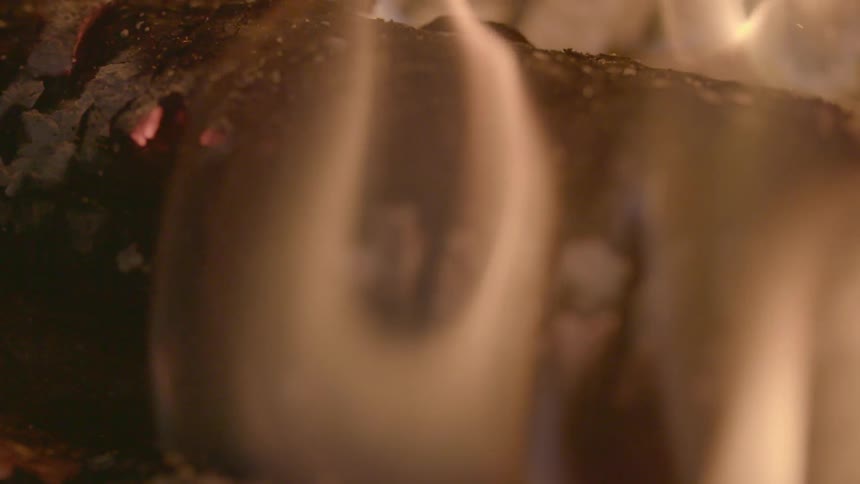 Fire burning wood and creating ash