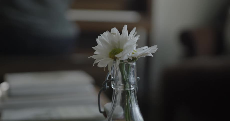 Flowers sit in a vase on a table
