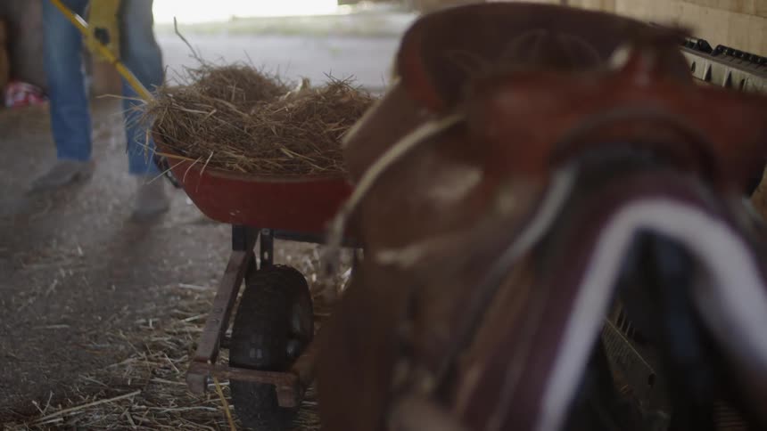 A man is cleaning the stalls in a barn during the day