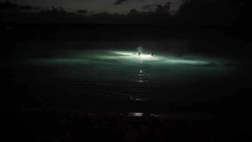 People are swimming in the water at night with flashlights