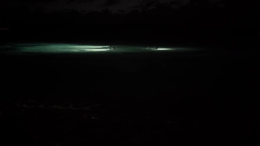 The people swim around in the ocean using flashlights at night