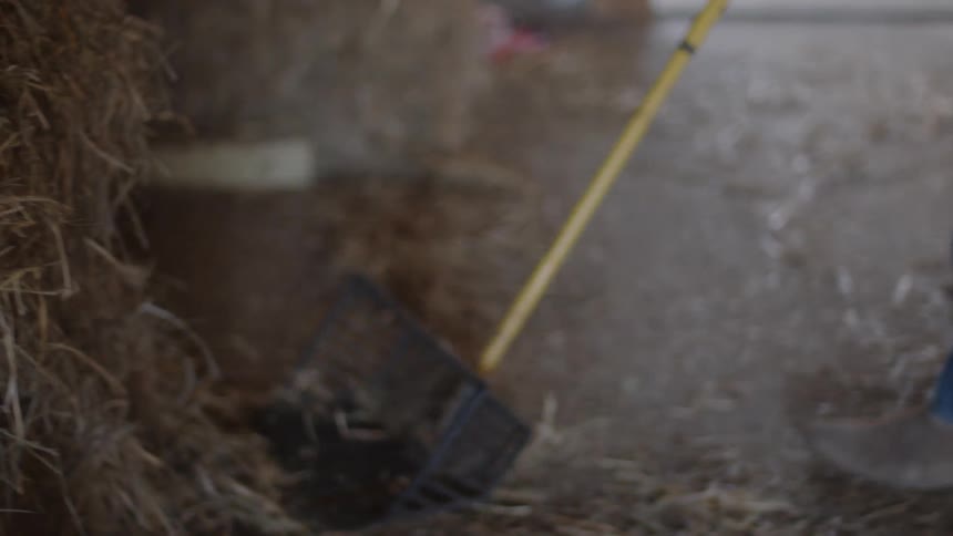A man is raking hay into a wheelbarrow