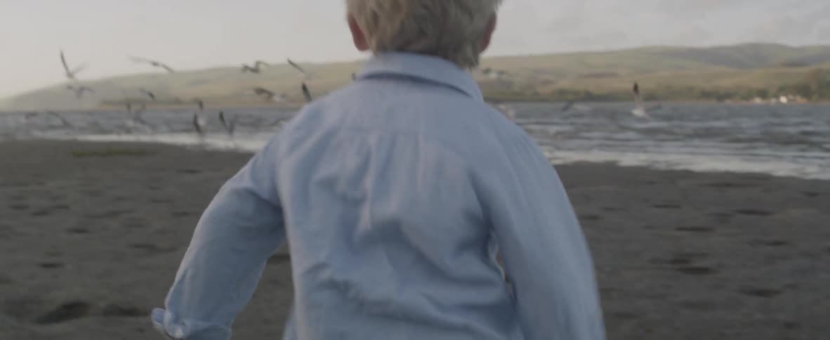 A young boy runs along the beach as dozens of seagulls burst into flight
