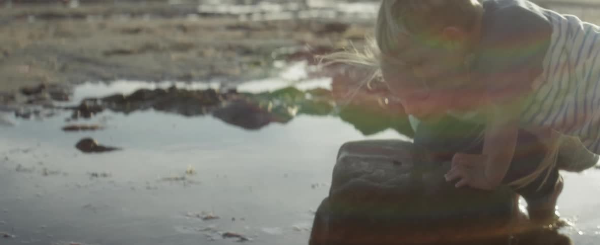 Children look into a puddle on the beach