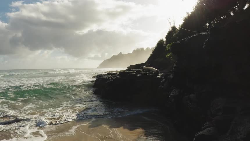 Ocean waves crash into a rocky shoreline