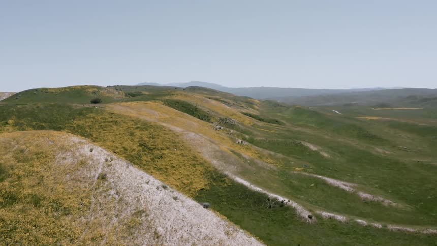 Grass and flowers cover the hilly landscape