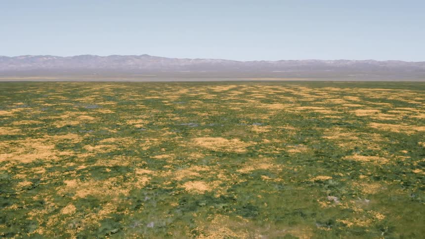 The long fields are full of green and yellow grass