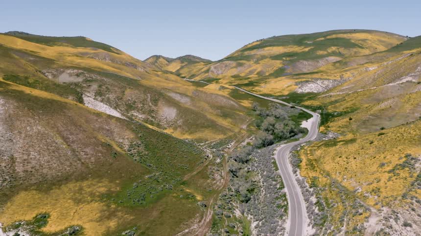 A road winds between hills and slopes covered in wildflowers