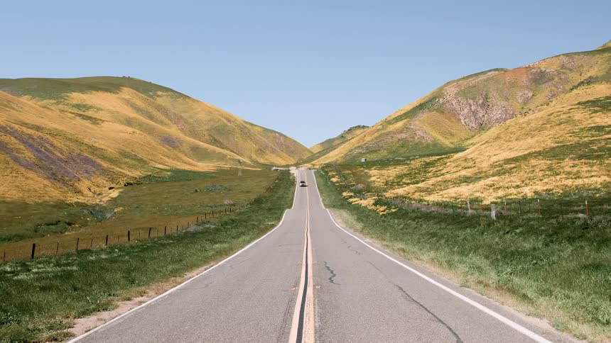Rural road through hills covered in wildflowers