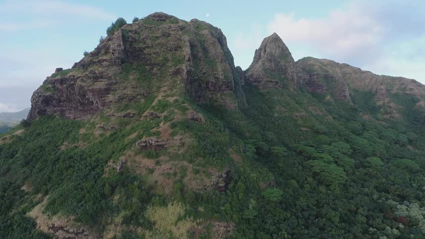 The tall mountain has trees growing up the side