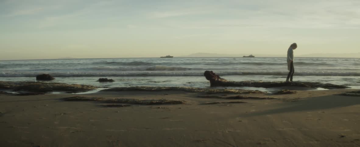 Waves roll onto the beach