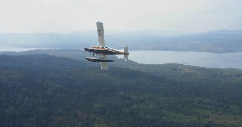 A seaplane makes a turn over the trees
