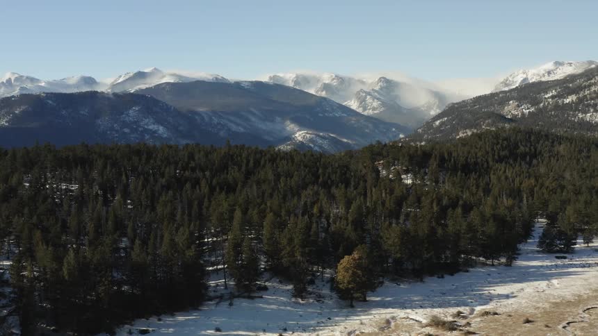 The forest sits right before the mountain range