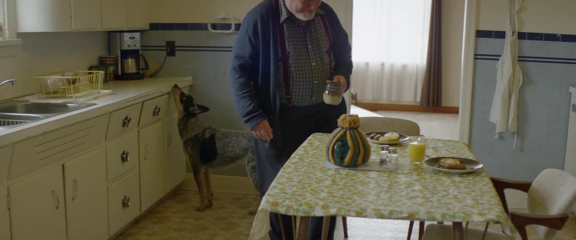 A man sits down to eat as the dog walks around the table