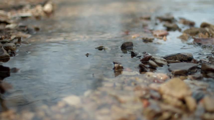 Water ripples over the rocks in a creek