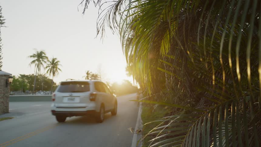 The car drives towards the setting sun