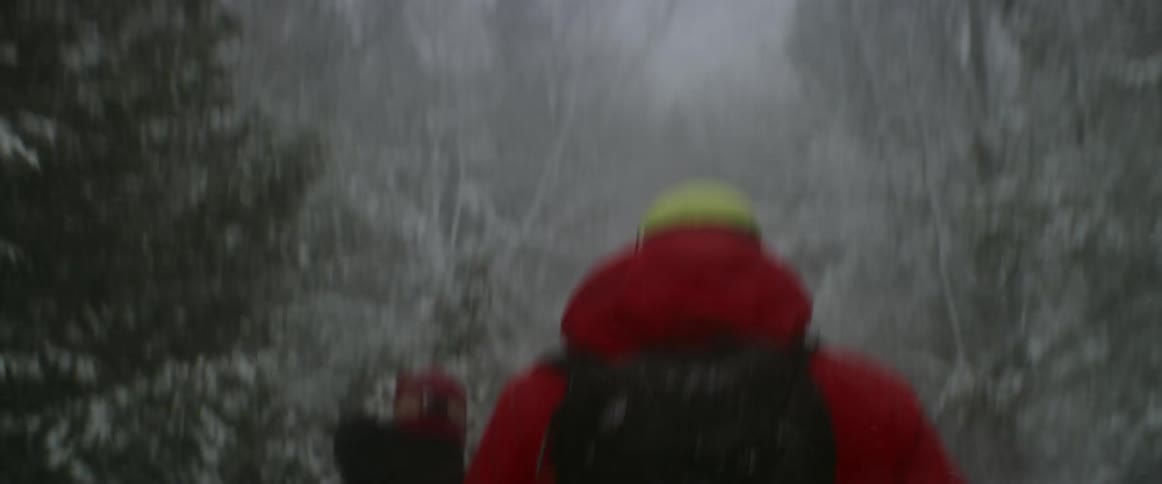 The people hike in the forest during a snowstorm