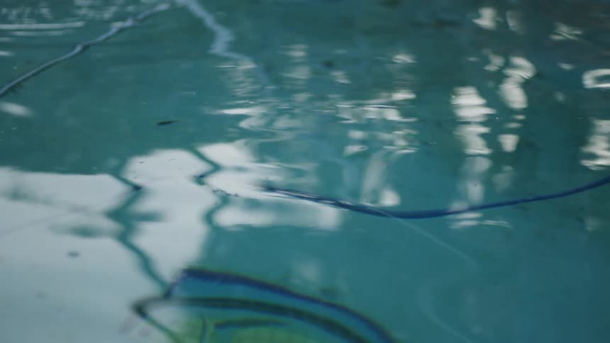 Wires and a hose move around in the pool