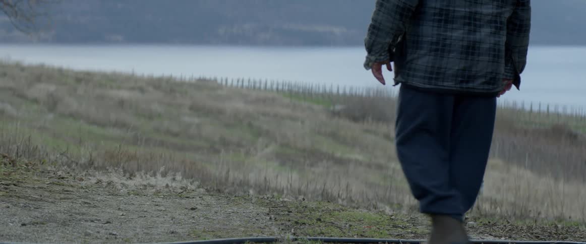 A man throws a stick and plays fetch with his dog