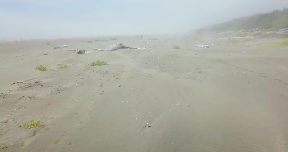 Driftwood is scattered along the shore