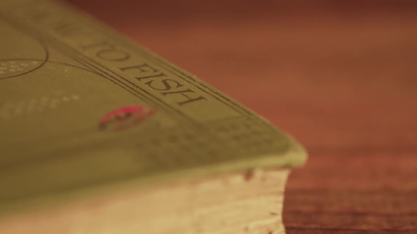The large book sits on the wooden table