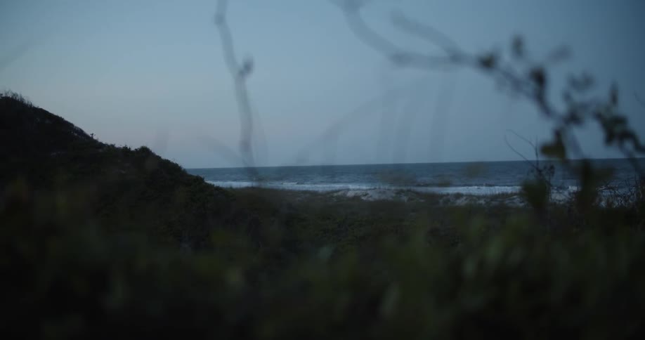 The tall grass lines the shore