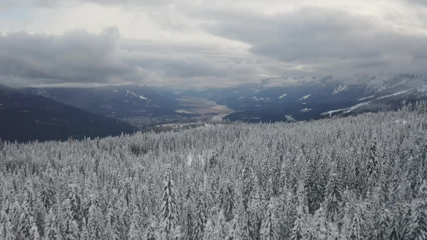 Snow covered mountain forest on cloudy day