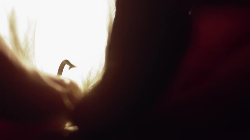 A person is fastening feathers to a fishing hook