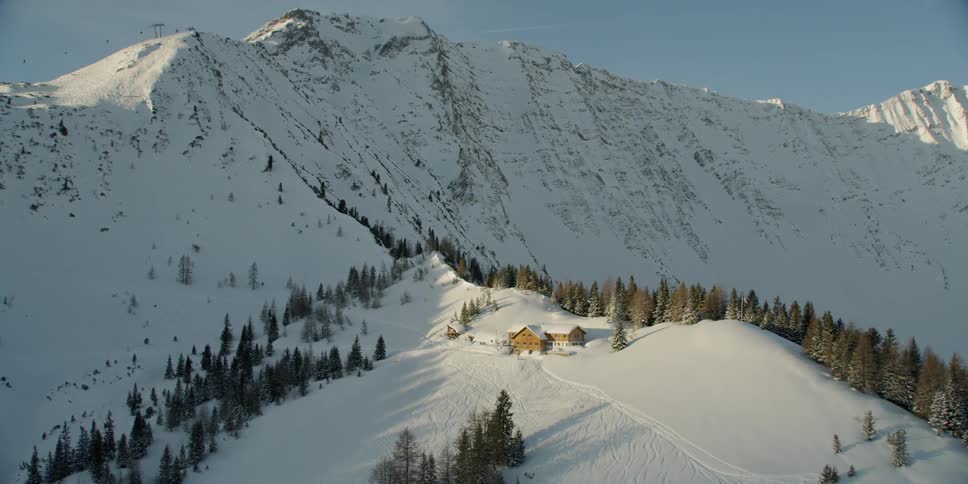 Snow and pine trees cover a mountain