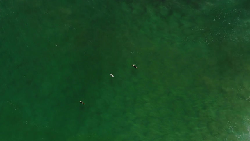 Surfers float on an ocean