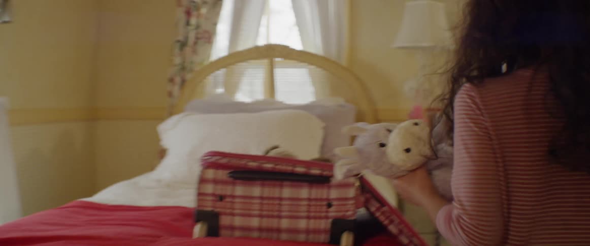 Girl puts stuffed animals into a suitcase