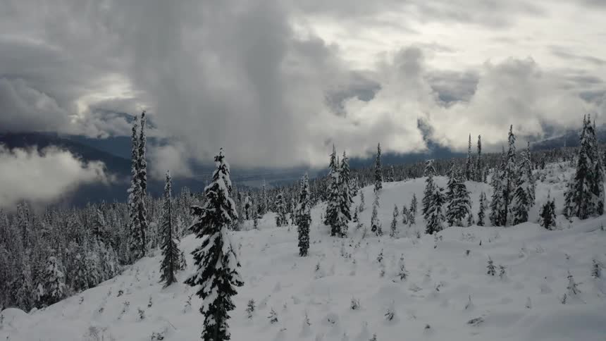 Three people sit on snowmobiles on the field