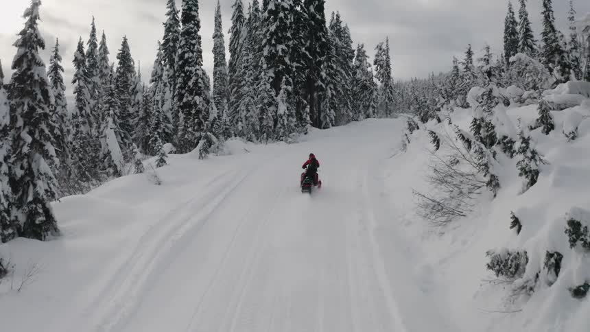Person snowmobiling on a path through the woods