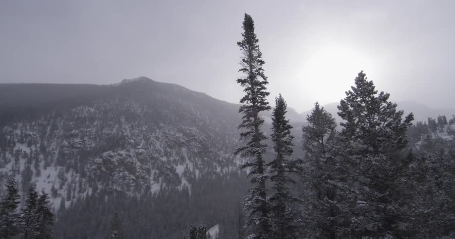 Snow falls on a tree covered mountain