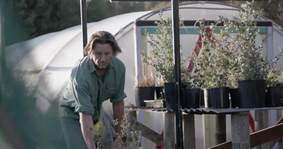 A man wheels in some plants from the garden