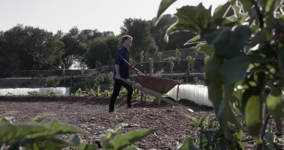 Man using a wheelbarrow to move something in his garden