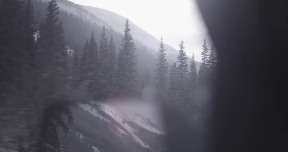 Vehicle traveling with tall trees and mountains in the distance