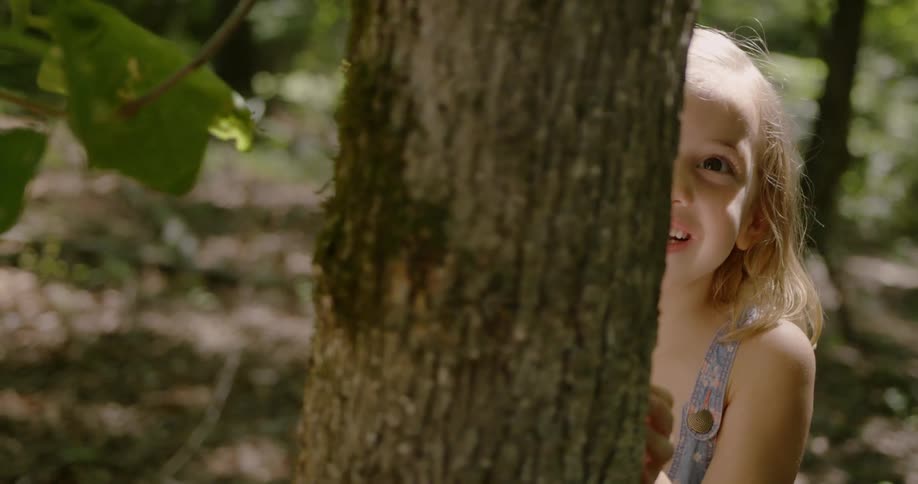 Child stands behind a tree in the woods